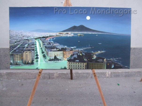 CaliciDiStelle2009 (6).jpg